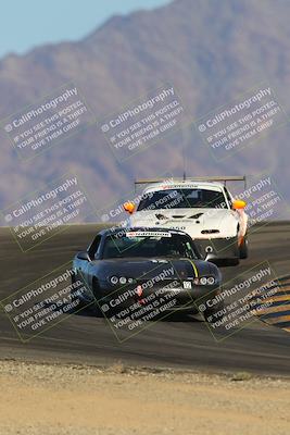 media/Oct-14-2023-Lucky Dog Racing (Sat) [[cef75db616]]/Turn 12 (345pm)/